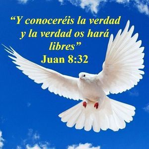 Meet your Posher, Salomon